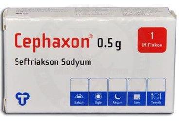 CEPHAXON IM   500 MG 1 FLAKON