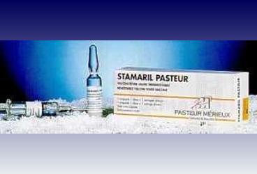 STAMARIL PASTEUR (SARI HUMMA ASISI)0,5ML 1 ENJ. 1 DOZ