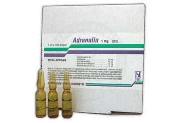 ADRENALIN 1 MG BIOSEL 1 MLX100 AMPUL