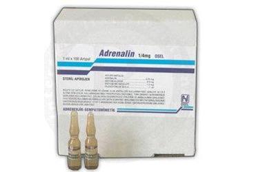 ADRENALIN 1/4 MG BIOSEL 1 MLX100 AMPUL
