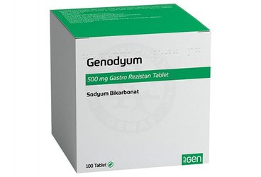 GENODYUM 500 MG GASTRO REZISTAN TABLET (100 TABLET)