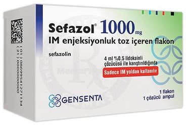 SEFAZOL 1000 MG IM ENJEKSIYONLUK TOZ ICEREN FLAKON ( 1 FLAKON,1 AMPUL)