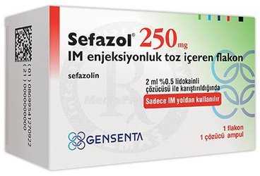 SEFAZOL 250 MG IM ENJEKSIYONLUK TOZ ICEREN FLAKON (1 FLAKON,1 AMPUL)